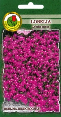 Lobelia ROSAMUNDA różowa nasiona 0,2g PNOS - Kliknij na obrazek aby go zamknąć
